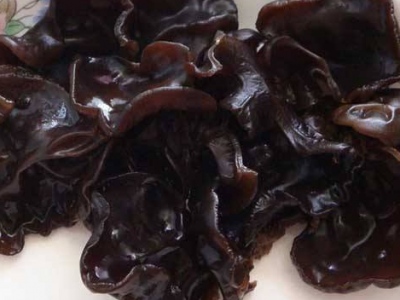 木耳的功效与作用禁忌_食用方法