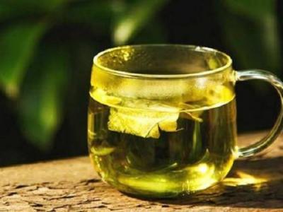 乌龙茶是凉性还是温性
