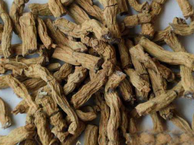 巴戟的功效与作用禁忌
