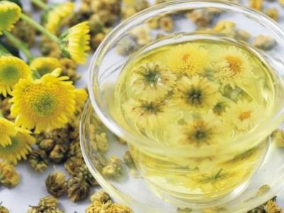 哪些人不可以喝金丝皇菊