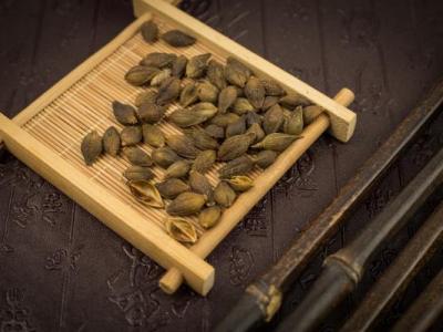 苍耳草可以治什么病【6种最好的偏方】痢疾风湿鼻炎肠胃炎