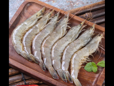 豆角和豆腐能一起吃吗 虾和豆角可以一起吃吗