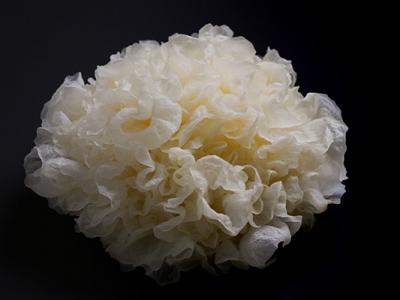 银耳可以每天吃吗（银耳莲子汤能天天喝吗）