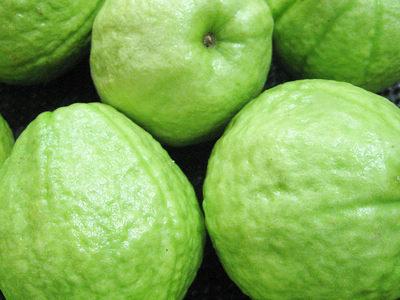 番石榴学名：番石榴，英文：Guava