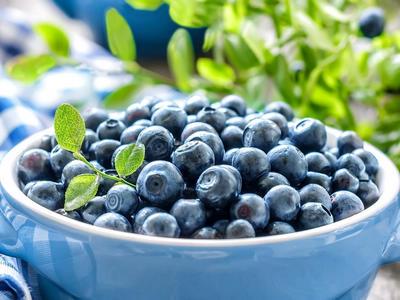 蓝莓学名：蓝莓，英文：Blueberry