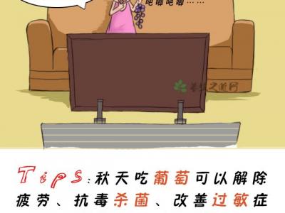 秋天吃葡萄的好处