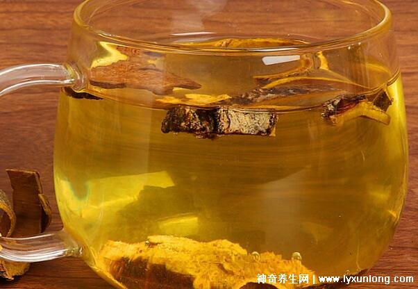 黄柏和苍术泡水喝的功效与禁忌，7种人不宜吃黄柏和苍术
