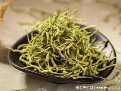 金银花专治十种病，感冒/牙痛/痤疮/咽喉肿痛(每天20g泡水喝好)