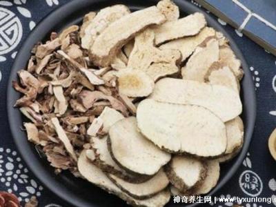喝泽泻白术一个月瘦多少斤，10斤起步适合肥胖症(附减肥配方)