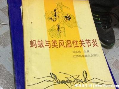 黑蚂蚁治疗类风湿配方，蚂蚁消痹汤(类风湿性关节炎的克星)
