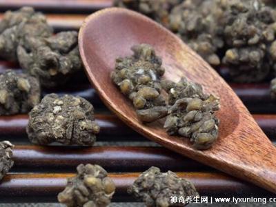 三种人不易吃猫抓草，阴虚体质/孕妇小儿/过敏者慎用
