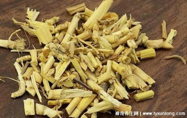 白茅根治好了我的尿毒症，利尿排毒/恢复肾功能(附真实案例)