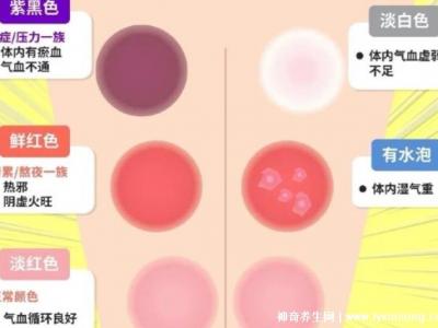 拔罐颜色症状对照表，红色/黄色/蓝色代表各不同(颜色深浅图解)