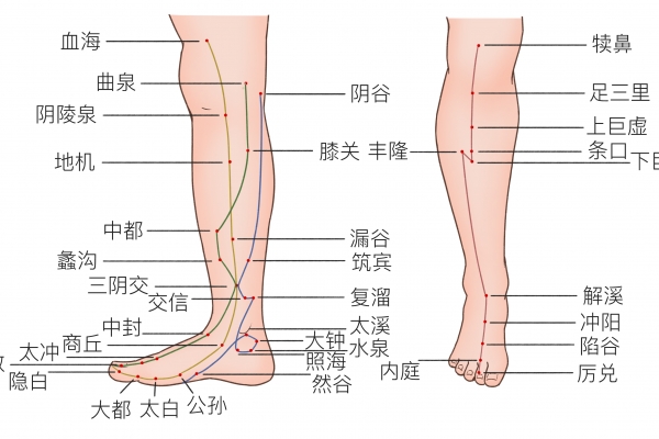 照海的功效与作用是什么-易网健康<a href=http://www.bryss.cn/jkys/ target=_blank class=infotextkey>养生</a>网 照海的功效与作用是什么